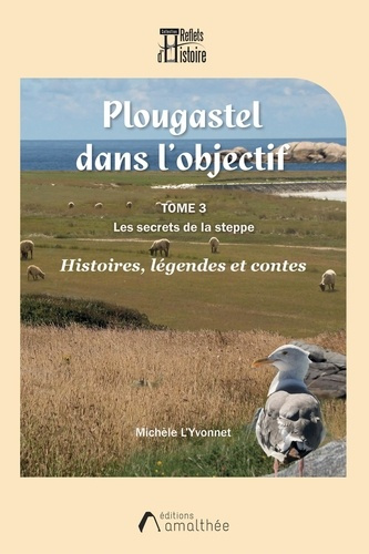 Emprunter Plougastel dans l'objectif. Tome 3, Les secrets de la steppe livre