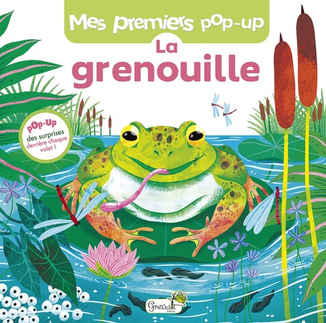 Emprunter La grenouille livre