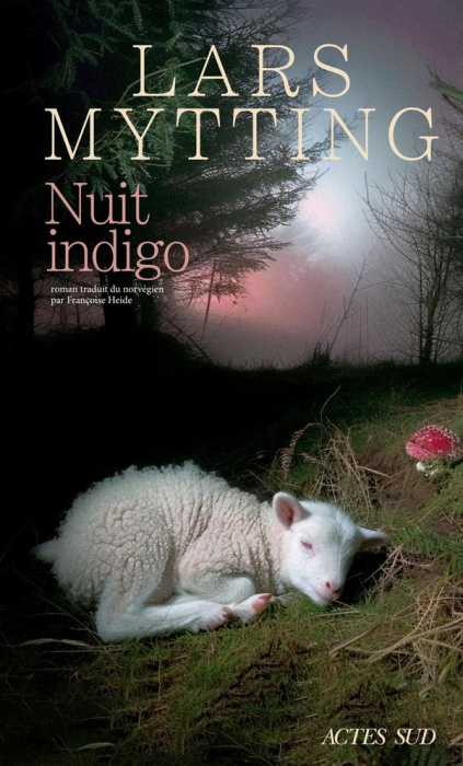 Emprunter Nuit indigo livre