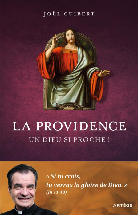 Emprunter La Providence. Un Dieu si proche ! livre