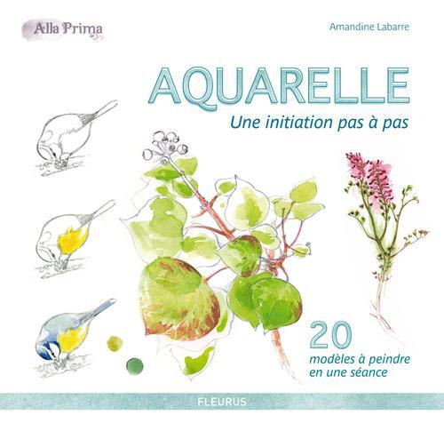 Emprunter Aquarelle. Une initiation pas à pas livre