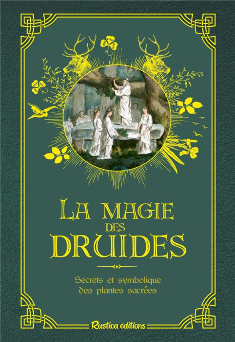 Emprunter La magie des druides livre