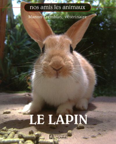 Emprunter Le lapin livre