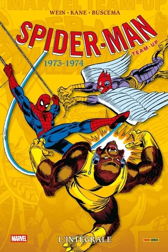 Emprunter Spider-Man Team-Up : l'intégrale : 1973-1974 livre
