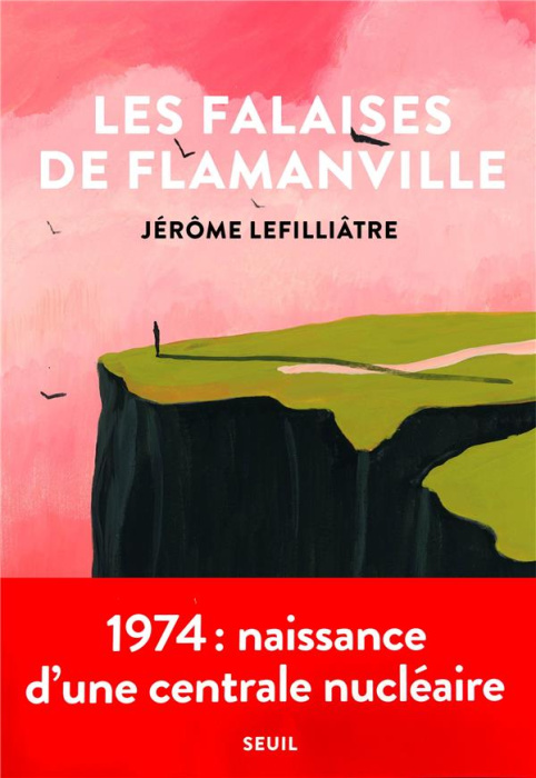 Emprunter Les falaises de Flamanville livre