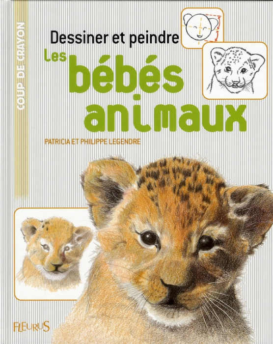 Emprunter Dessiner et peindre les bébés animaux livre