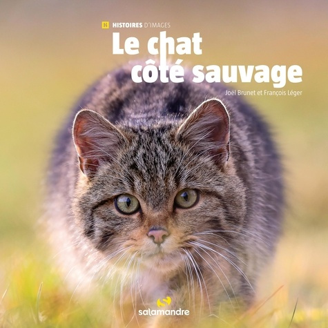 Emprunter Le chat côté sauvage livre