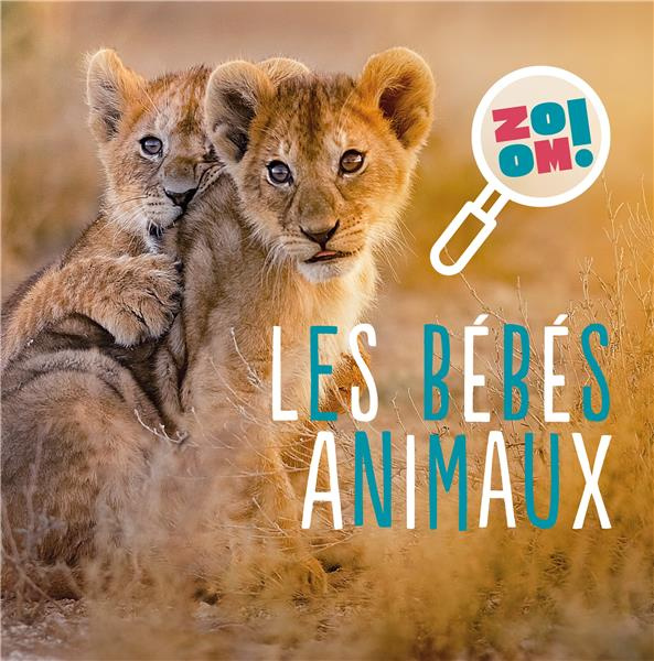 Emprunter Les bébés animaux livre