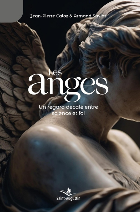 Emprunter Les anges: un regard décalé entre science et foi livre