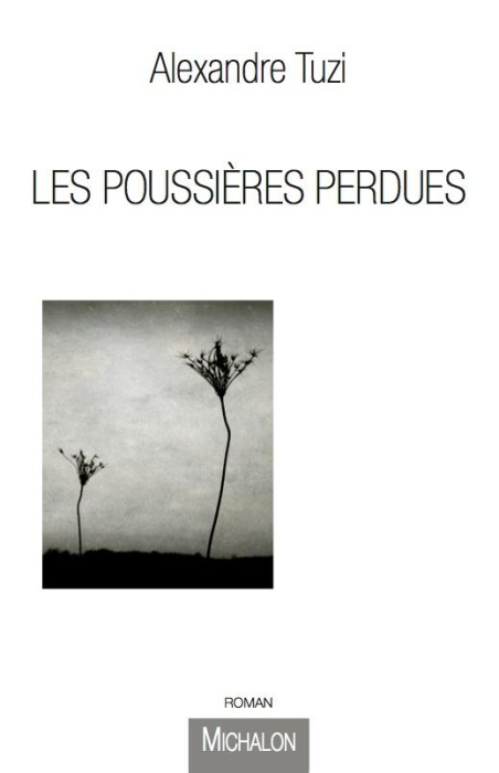 Emprunter Les poussières perdues livre