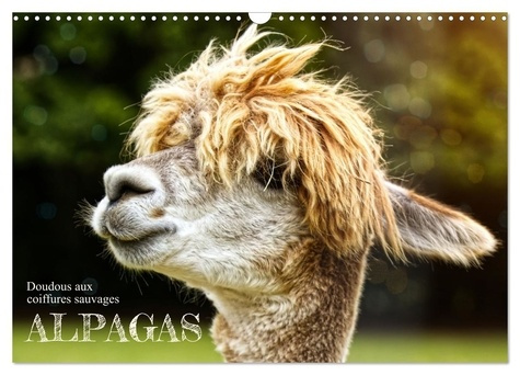 Emprunter Alpagas, doudous aux coiffures sauvages (Calendrier mural 2026 DIN A3 vertical), CALVENDO calendrier livre