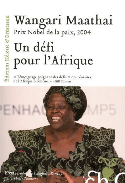 Emprunter Un défi pour l'Afrique livre