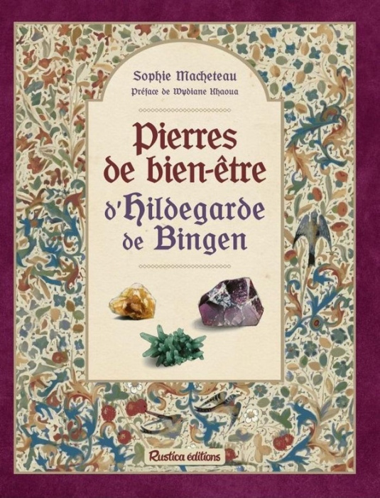 Emprunter Pierres de bien-être d'Hildegarde de Bingen livre