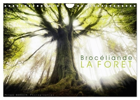 Emprunter BROCELIANDE, la forêt (Calendrier mural 2026 DIN A4 vertical), CALVENDO calendrier mensuel. photogra livre