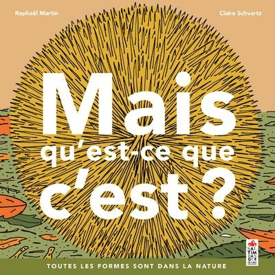 Emprunter Mais qu'est que c'est ? Toutes les formes sont dans la nature livre