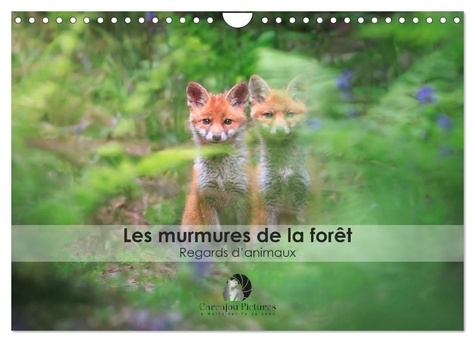 Emprunter Les murmures de la forêt - Regards d'animaux (Calendrier mural 2026 DIN A4 vertical), CALVENDO calen livre