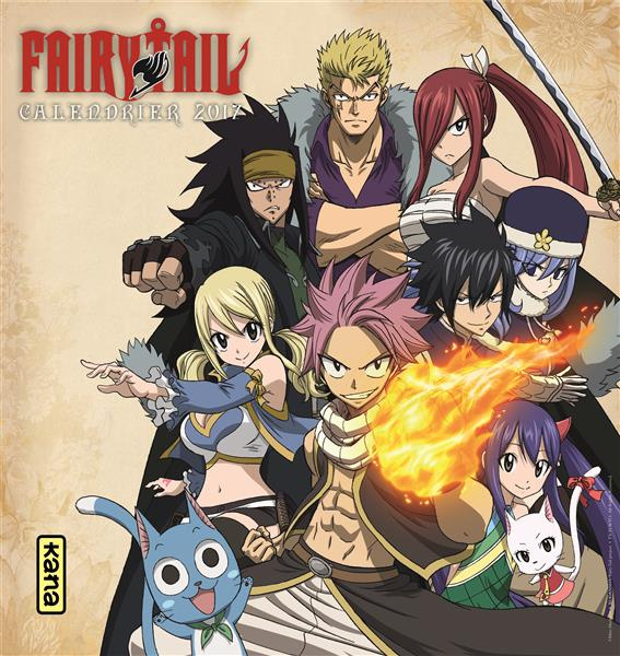 Emprunter Calendrier Fairy Tail. Edition 2017 livre