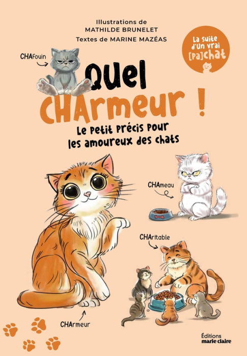 Emprunter Quel charmeur ! Le petit précis pour les amoureux des chats livre