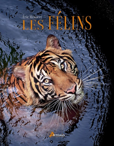Emprunter Les félins livre
