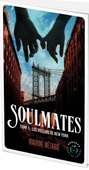 Emprunter Soulmates/01/Les voleurs de New York livre