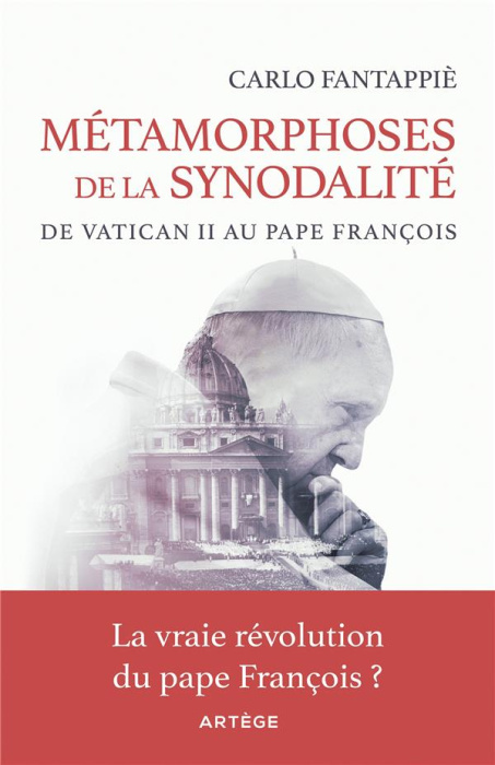 Emprunter Métamorphoses de la synodalité. De Vatican II au pape François livre