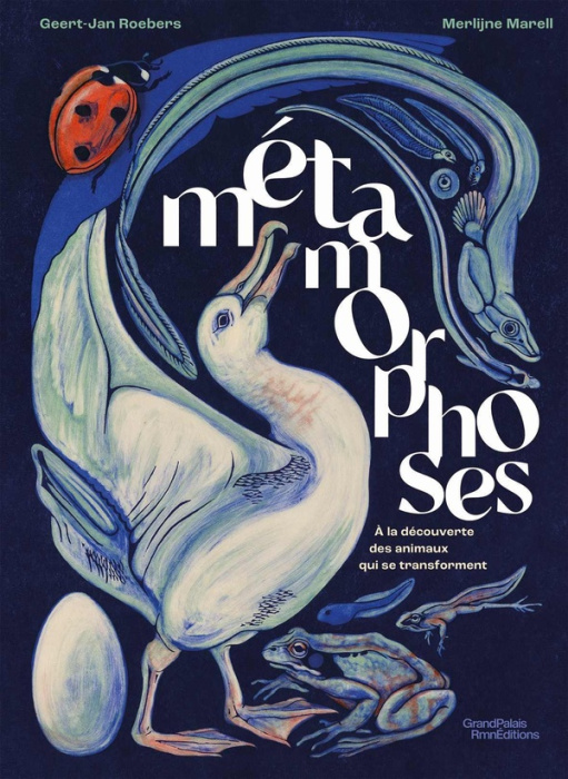Emprunter Métamorphoses. A la découverte des animaux qui se transforment livre