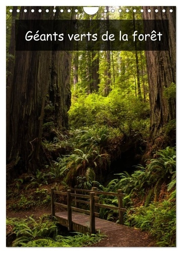 Emprunter Géants verts de la forêt (Calendrier mural 2026 DIN A4 horizontal), CALVENDO calendrier mensuel. Arb livre