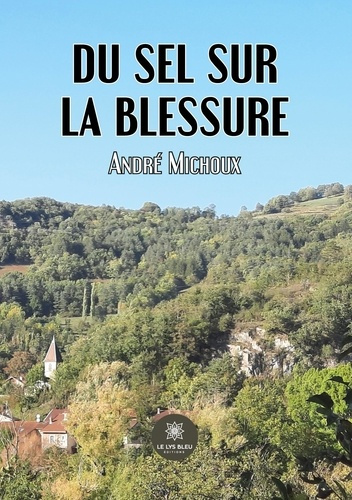 Emprunter Du sel sur la blessure livre