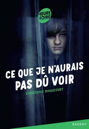 Emprunter Ce que je n'aurais pas dû voir livre