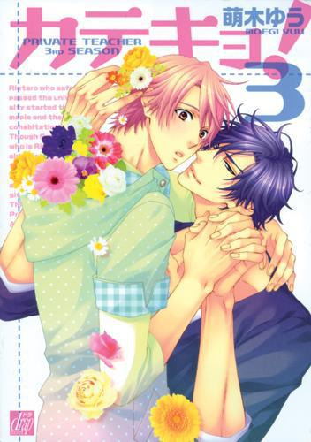 Emprunter Private teacher Tome 3 livre