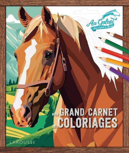 Emprunter Mon grand carnet de coloriages Au galop ! livre