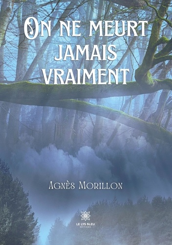 Emprunter On ne meurt jamais vraiment livre