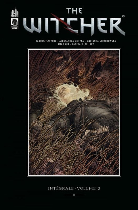 Emprunter The Witcher - Intégrale Tome 2 livre