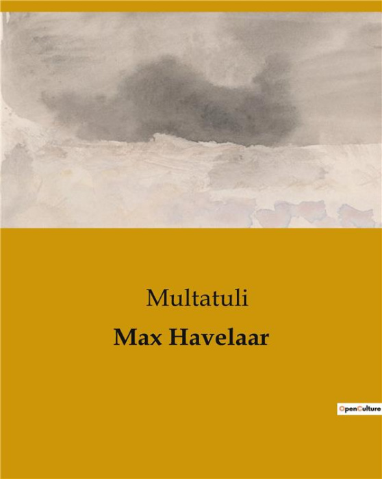 Emprunter MAX HAVELAAR livre