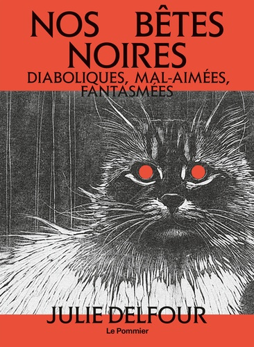 Emprunter Nos bêtes noires. Diaboliques, mal-aimées, fantasmées livre