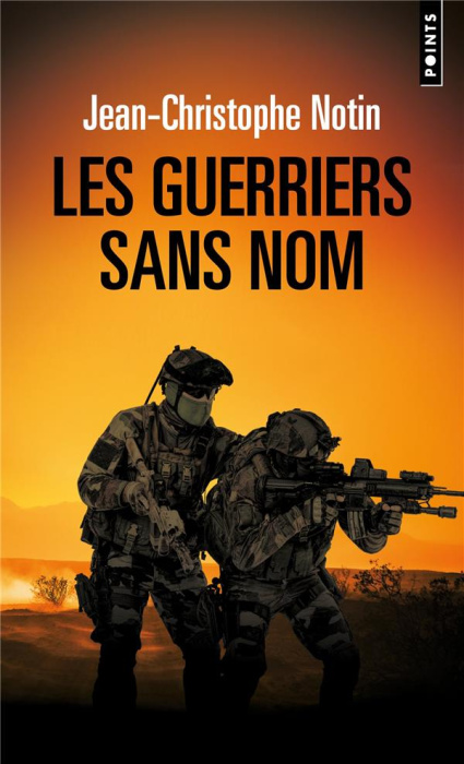 Emprunter Les guerriers sans nom livre