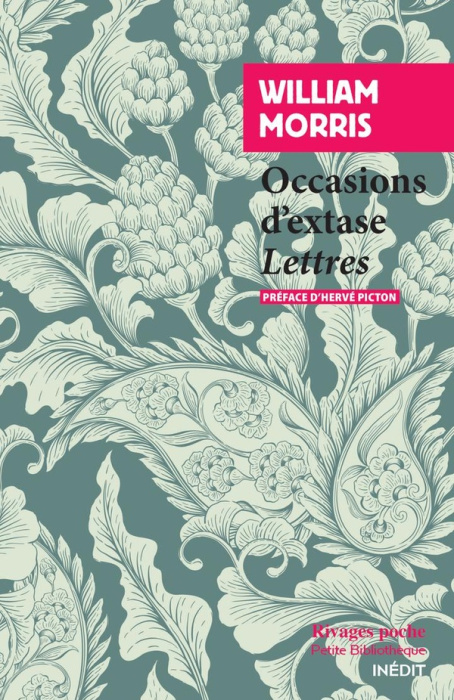 Emprunter Occasions d'extase. Lettres livre