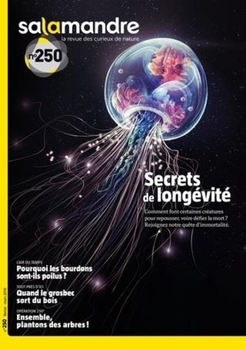 Emprunter Salamandre N° 250, février-mars 2019 : Secrets de longévité livre