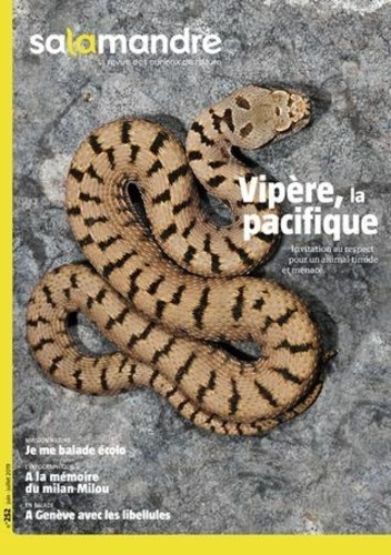 Emprunter Salamandre N° 252, juin-juillet 2019 : Vipère, la pacifique livre