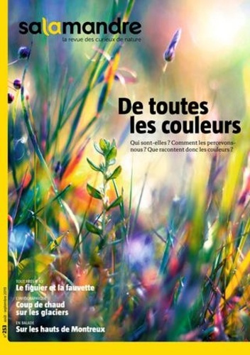 Emprunter Salamandre N° 253, août-septembre 2019 : De toutes les couleurs livre