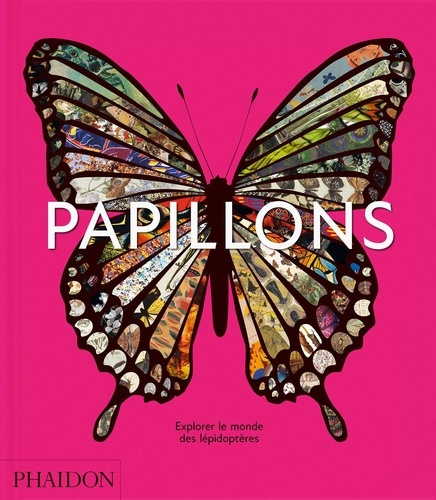 Emprunter Papillons. Explorer le monde des lépidoptères livre
