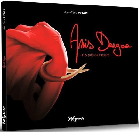 Emprunter Anis dargaa - il n'y a pas de hasard livre