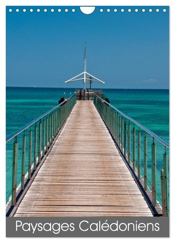 Emprunter Paysages calédoniens (Calendrier mural 2026 DIN A4 horizontal), CALVENDO calendrier mensuel. Un peti livre