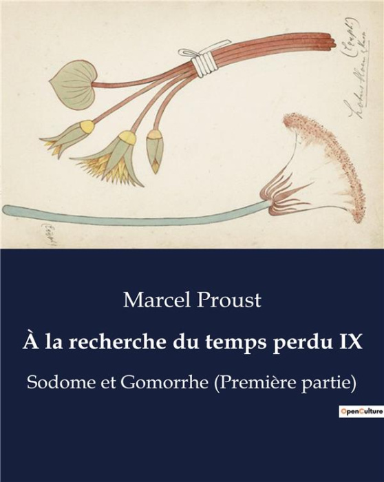 Emprunter A la recherche du temps perdu Tome 9 : Sodome et Gomorrhe (Première partie) livre