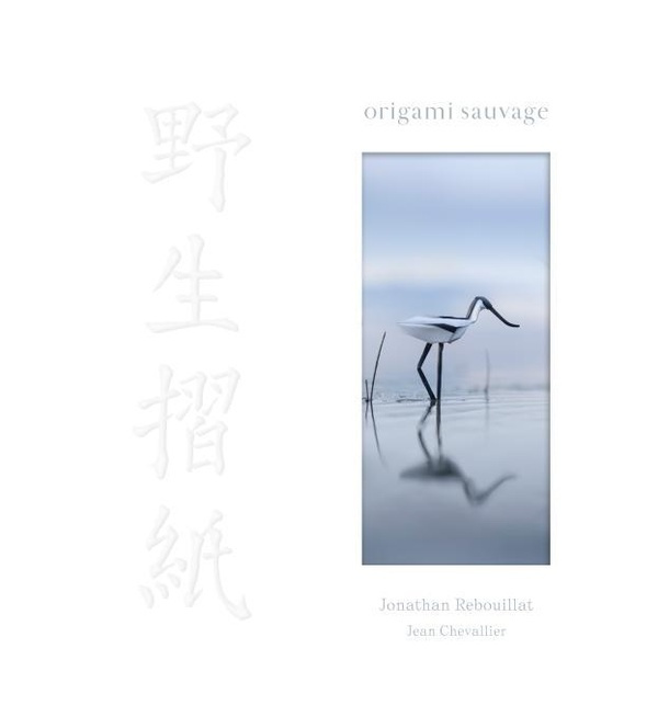 Emprunter ORIGAMI SAUVAGE livre