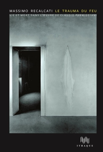 Emprunter Le Trauma du feu. Vie et mort dans l'oeuvre de Claudio Parmiggiani livre