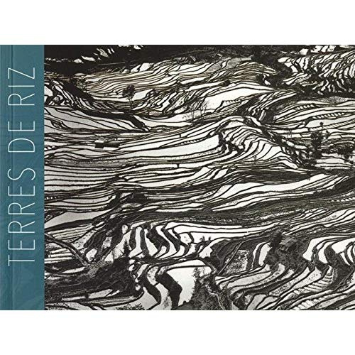 Emprunter Terres de riz livre