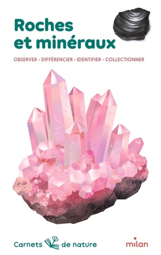 Emprunter Roches et minéraux. Observer - Différentier - Identifier - Collectionner livre