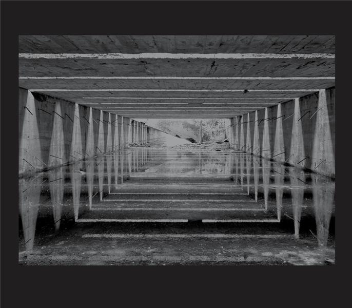 Emprunter Jardin de l'ombre. An almost nothing livre