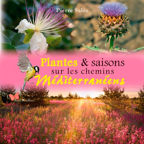 Emprunter Plantes & saisons sur les chemins méditerranéens livre